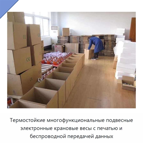 Термостойкие многофункциональные подвесные электронные крановые весы с печатью и беспроводной передачей данных