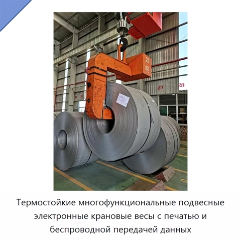 Термостойкие многофункциональные подвесные электронные крановые весы с печатью и беспроводной передачей данных