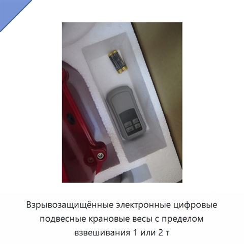 Взрывозащищённые электронные цифровые подвесные крановые весы с пределом взвешивания 1 или 2 т
