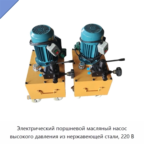 Электрический поршневой масляный насос высокого давления из нержавеющей стали, 220 В