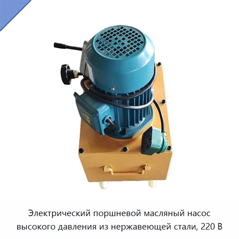 Электрический поршневой масляный насос высокого давления из нержавеющей стали, 220 В