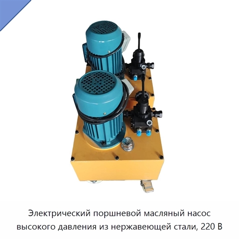 Электрический поршневой масляный насос высокого давления из нержавеющей стали, 220 В