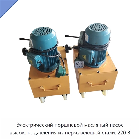 Электрический поршневой масляный насос высокого давления из нержавеющей стали, 220 В