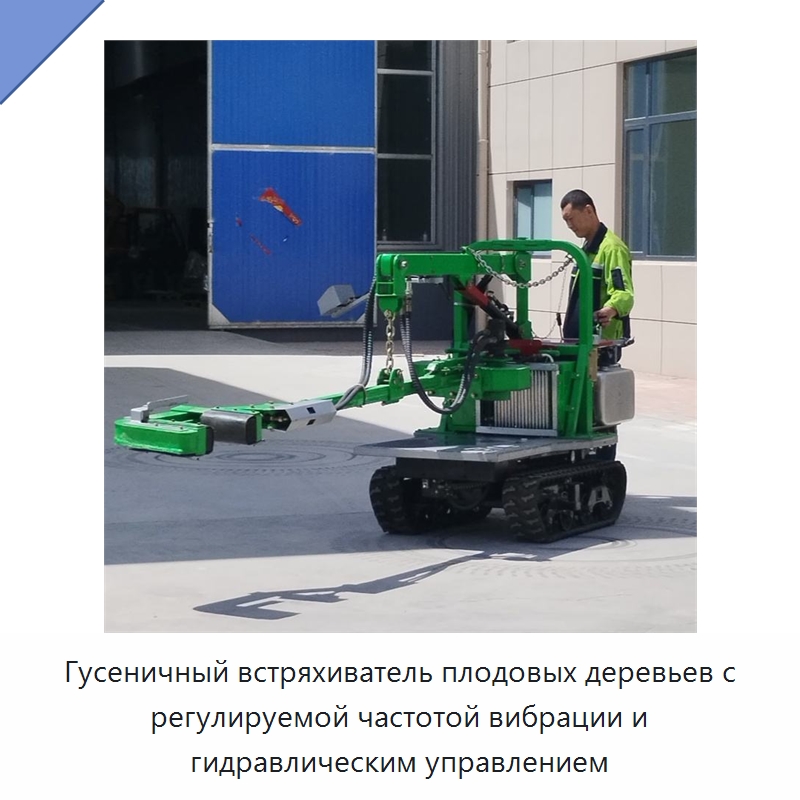 Гусеничный встряхиватель плодовых деревьев с регулируемой частотой вибрации и гидравлическим управлением — Лесохозяйственная техника