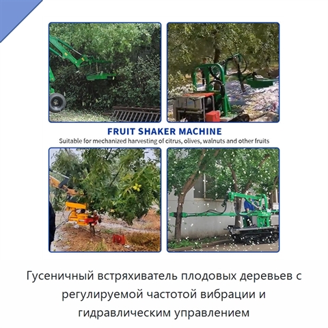 Гусеничный встряхиватель плодовых деревьев с регулируемой частотой вибрации и гидравлическим управлением