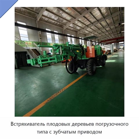 Встряхиватель плодовых деревьев погрузочного типа с зубчатым приводом