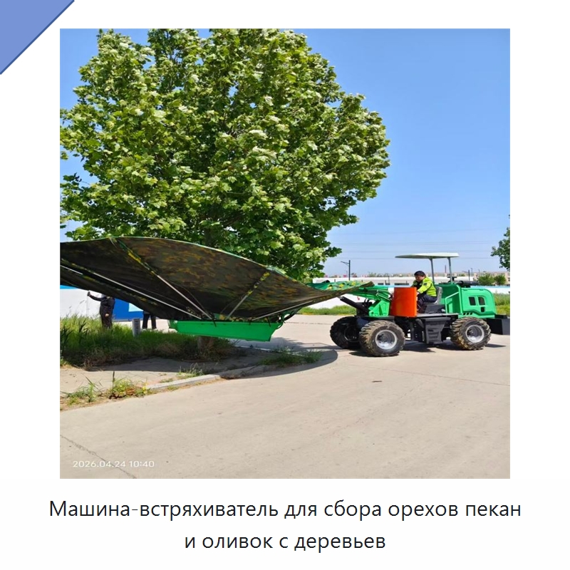 Машина-встряхиватель для сбора орехов пекан и оливок с деревьев — Комбайны