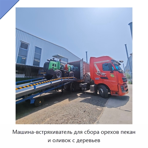 Машина-встряхиватель для сбора орехов пекан и оливок с деревьев