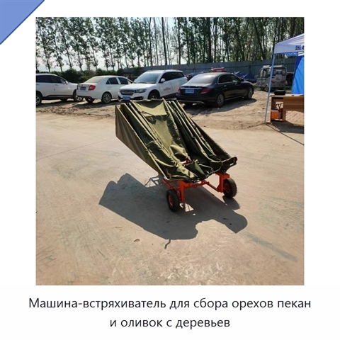 Машина-встряхиватель для сбора орехов пекан и оливок с деревьев