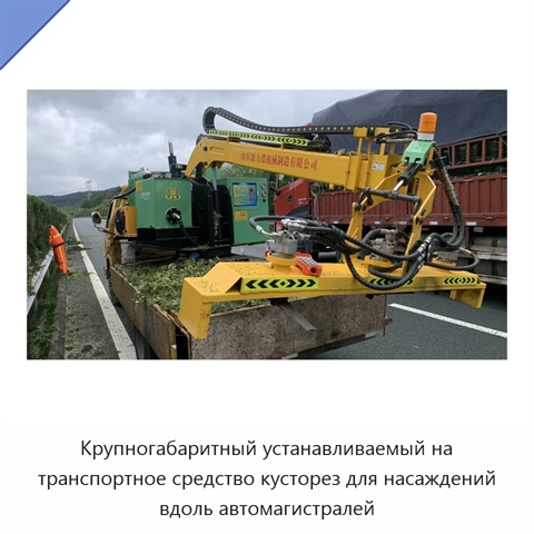 Крупногабаритный устанавливаемый на транспортное средство кусторез для насаждений вдоль автомагистралей