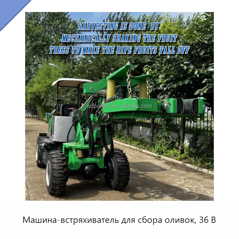 Машина-встряхиватель для сбора оливок, 36 В — Специальные сельскохозяйственные машины
