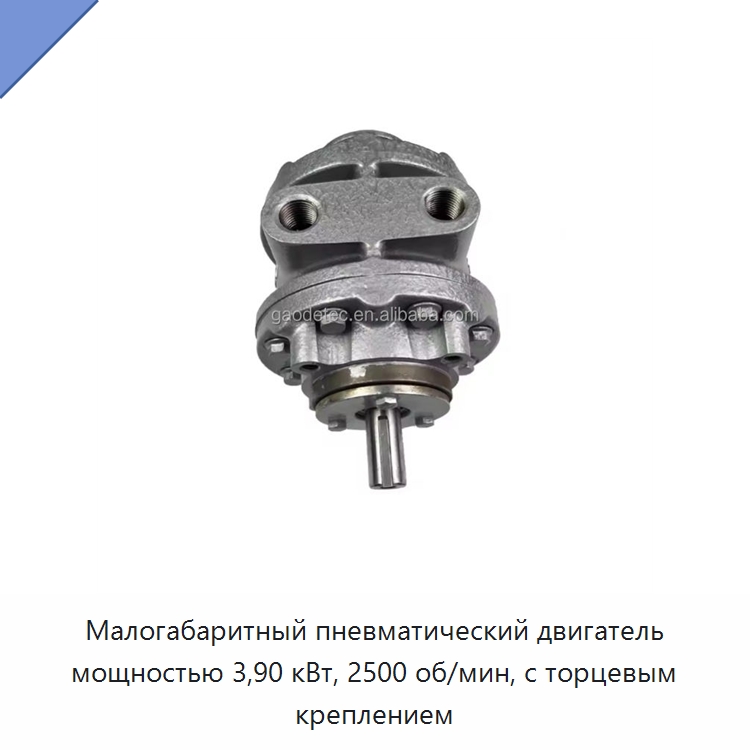 Малогабаритный пневматический двигатель мощностью 3,90 кВт, 2500 об/мин, с торцевым креплением — Специальный пневматический инструмент