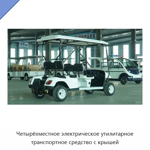 Четырёхместное электрическое утилитарное транспортное средство с крышей
