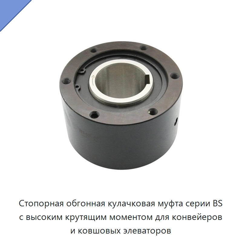 Стопорная обгонная кулачковая муфта серии BS с высоким крутящим моментом для конвейеров и ковшовых элеваторов — Специальные подшипники