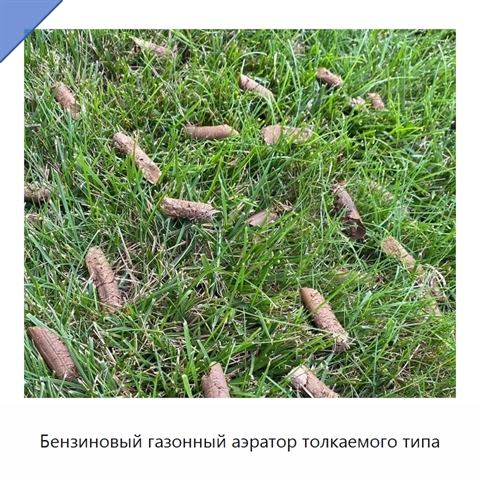 Бензиновый газонный аэратор толкаемого типа