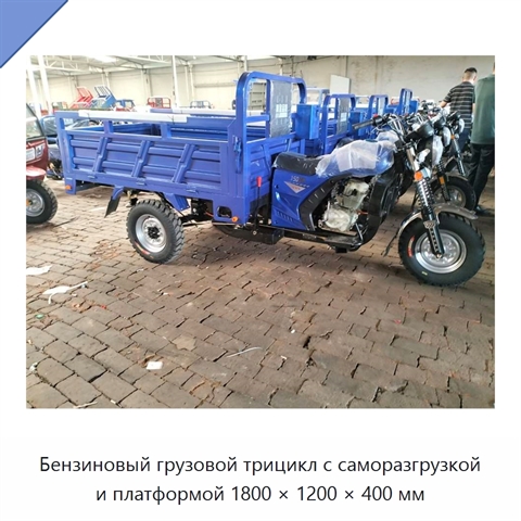 Бензиновый грузовой трицикл с саморазгрузкой и платформой 1800 × 1200 × 400 мм