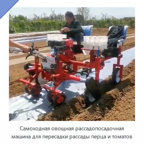 Самоходная овощная рассадопосадочная машина для пересадки рассады перца и томатов — Специальные сельскохозяйственные машины