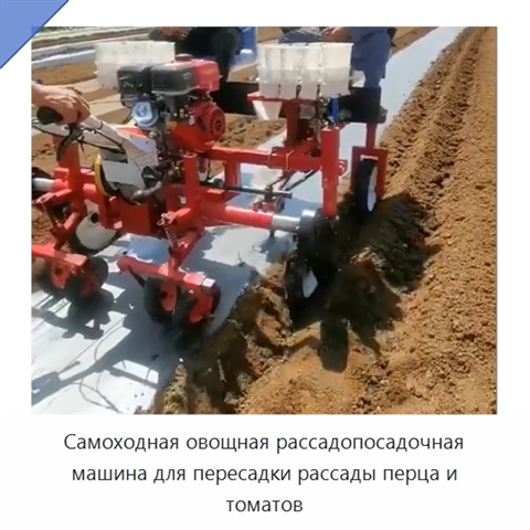 Самоходная овощная рассадопосадочная машина для пересадки рассады перца и томатов