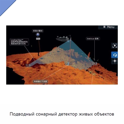 Подводный сонарный детектор живых объектов