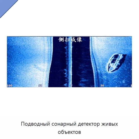 Подводный сонарный детектор живых объектов