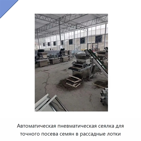Автоматическая пневматическая сеялка для точного посева семян в рассадные лотки