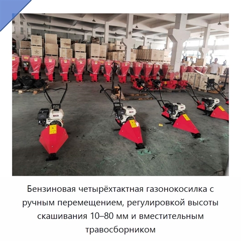 Бензиновая четырёхтактная газонокосилка с ручным перемещением, регулировкой высоты скашивания 10–80 мм и вместительным травосборником