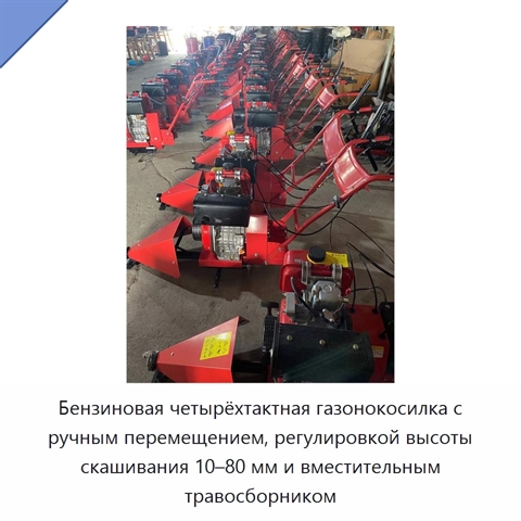 Бензиновая четырёхтактная газонокосилка с ручным перемещением, регулировкой высоты скашивания 10–80 мм и вместительным травосборником