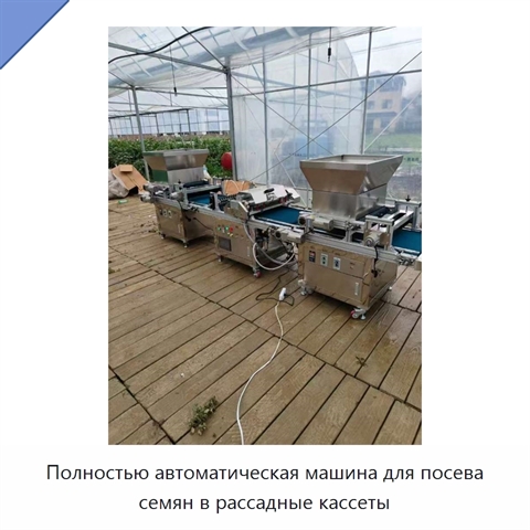 Полностью автоматическая машина для посева семян в рассадные кассеты