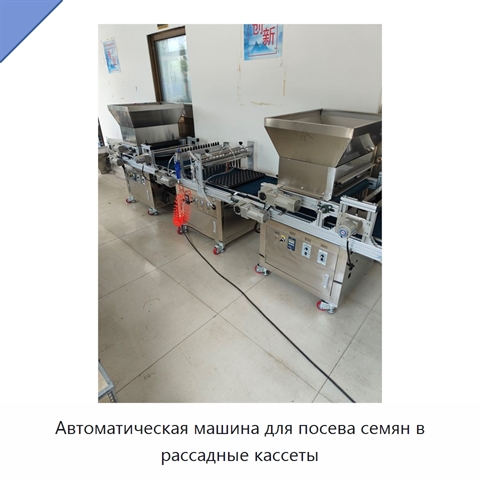 Автоматическая машина для посева семян в рассадные кассеты