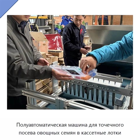 Полуавтоматическая машина для точечного посева овощных семян в кассетные лотки