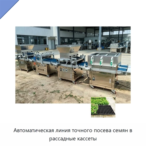 Автоматическая линия точного посева семян в рассадные кассеты