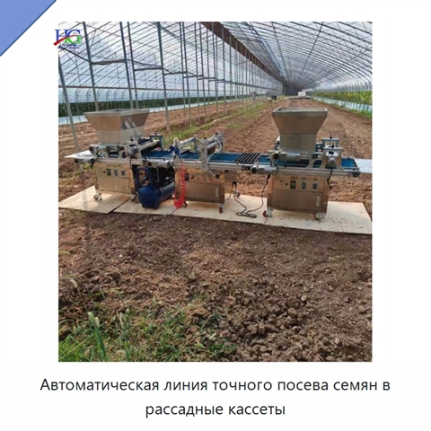 Автоматическая линия точного посева семян в рассадные кассеты