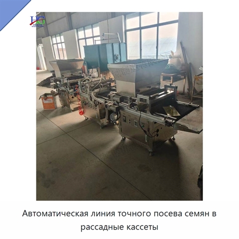 Автоматическая линия точного посева семян в рассадные кассеты