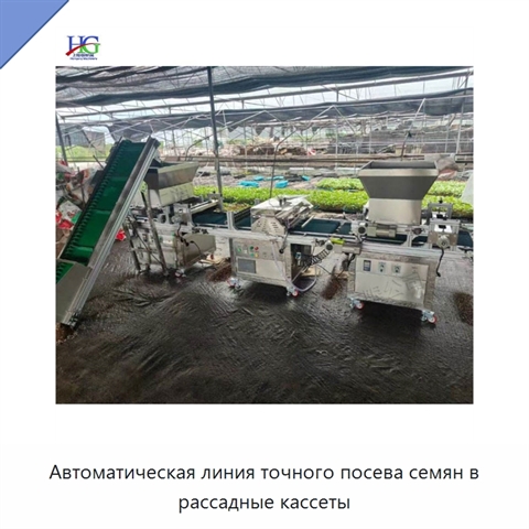 Автоматическая линия точного посева семян в рассадные кассеты