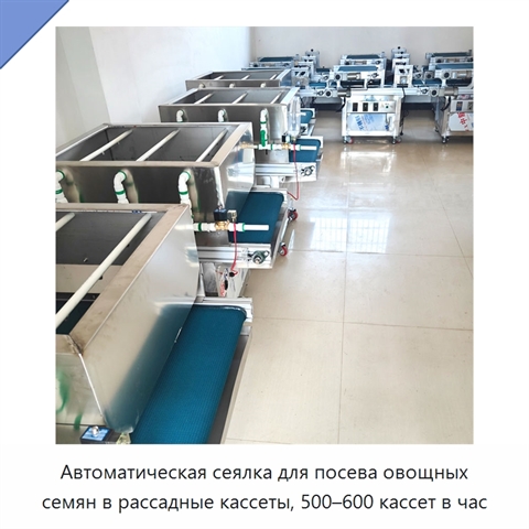 Автоматическая сеялка для посева овощных семян в рассадные кассеты, 500–600 кассет в час