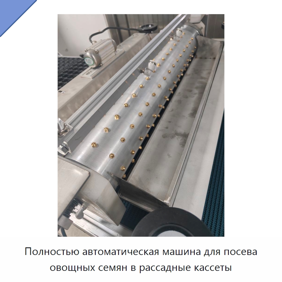 Полностью автоматическая машина для посева овощных семян в рассадные кассеты — Сеялки и рассадопосадочные машины