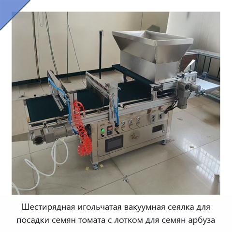 Шестирядная игольчатая вакуумная сеялка для посадки семян томата с лотком для семян арбуза