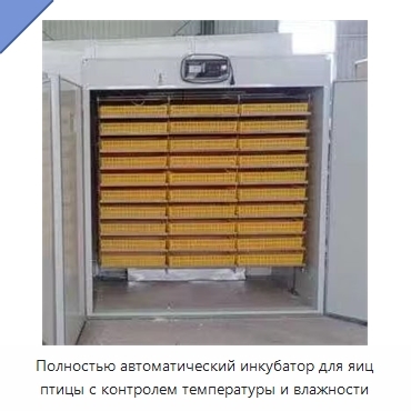 Полностью автоматический инкубатор для яиц птицы с контролем температуры и влажности