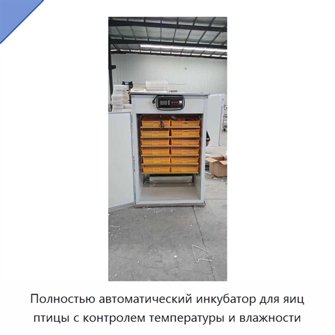 Полностью автоматический инкубатор для яиц птицы с контролем температуры и влажности