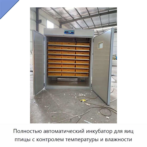 Полностью автоматический инкубатор для яиц птицы с контролем температуры и влажности