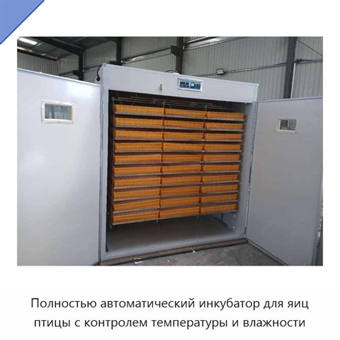 Полностью автоматический инкубатор для яиц птицы с контролем температуры и влажности
