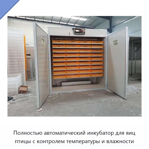 Полностью автоматический инкубатор для яиц птицы с контролем температуры и влажности
