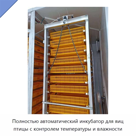 Полностью автоматический инкубатор для яиц птицы с контролем температуры и влажности