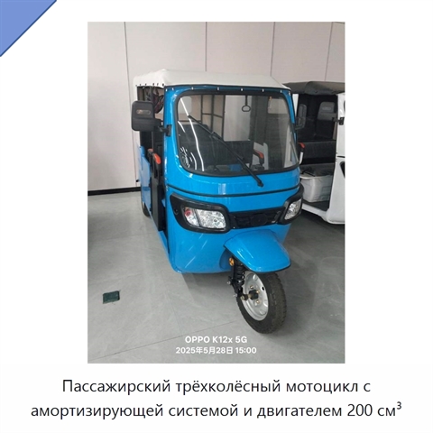 Пассажирский трёхколёсный мотоцикл с амортизирующей системой и двигателем 200 см³