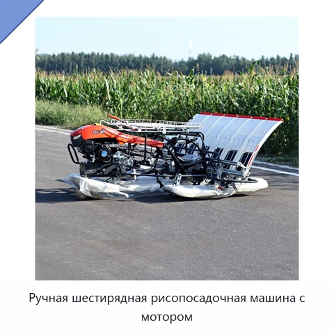 Ручная шестирядная рисопосадочная машина с мотором