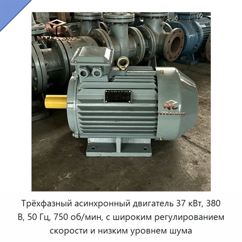 Трёхфазный асинхронный двигатель 37 кВт, 380 В, 50 Гц, 750 об/мин, с широким регулированием скорости и низким уровнем шума