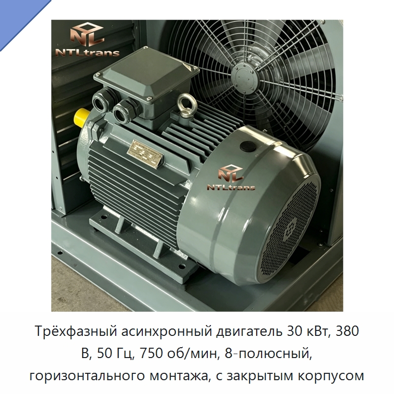 Трёхфазный асинхронный двигатель 30 кВт, 380 В, 50 Гц, 750 об/мин, 8-полюсный, горизонтального монтажа, с закрытым корпусом — Электродвигатели переменного тока
