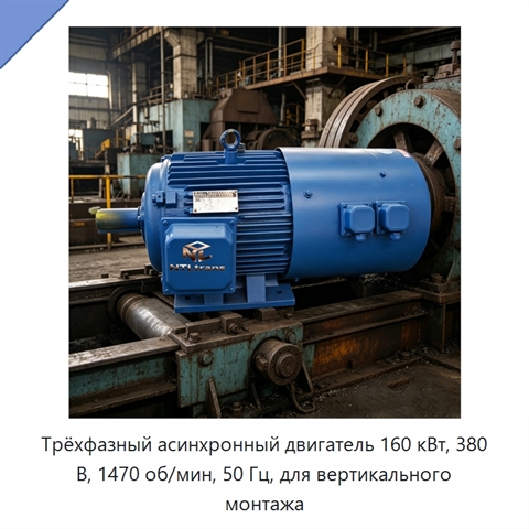 Трёхфазный асинхронный двигатель 160 кВт, 380 В, 1470 об/мин, 50 Гц, для вертикального монтажа