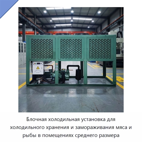 Блочная холодильная установка для холодильного хранения и замораживания мяса и рыбы в помещениях среднего размера