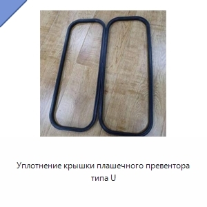 Уплотнение крышки плашечного превентора типа U